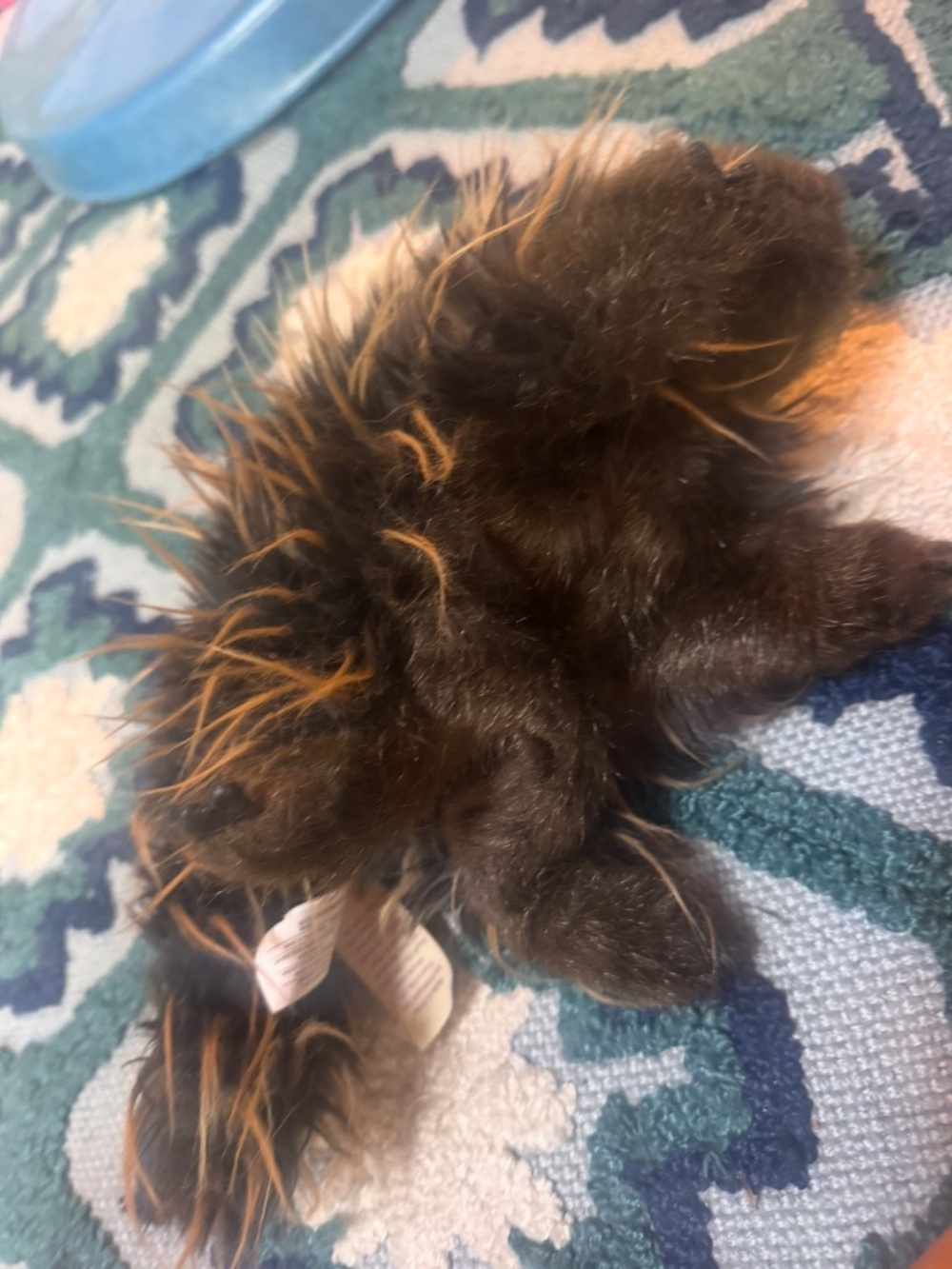 Cute Folkmanis porcupine puppet